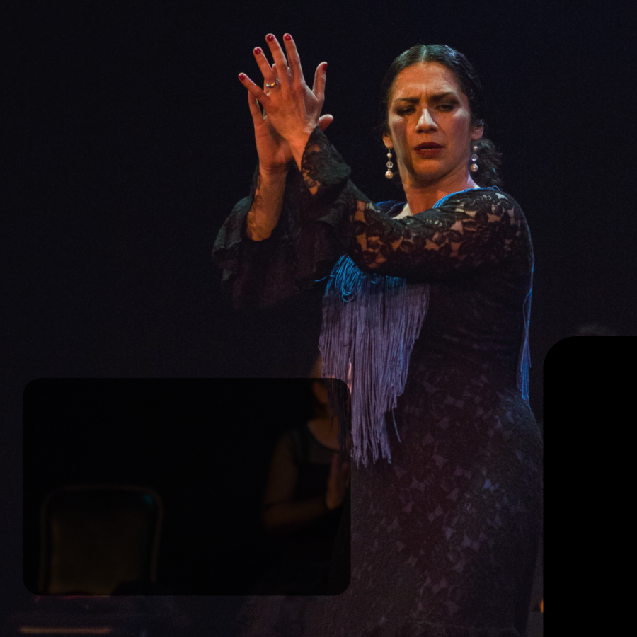 Rina Orellana Flamenco