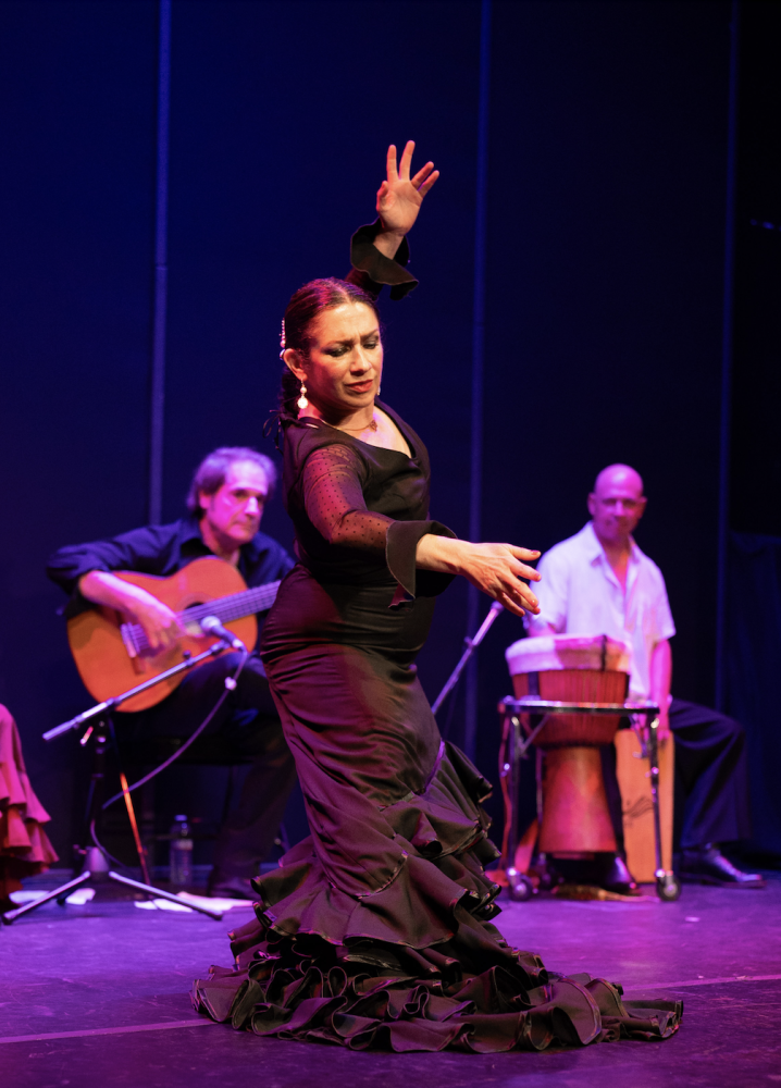 Rina Seguirilla 2025 Bata de Cola