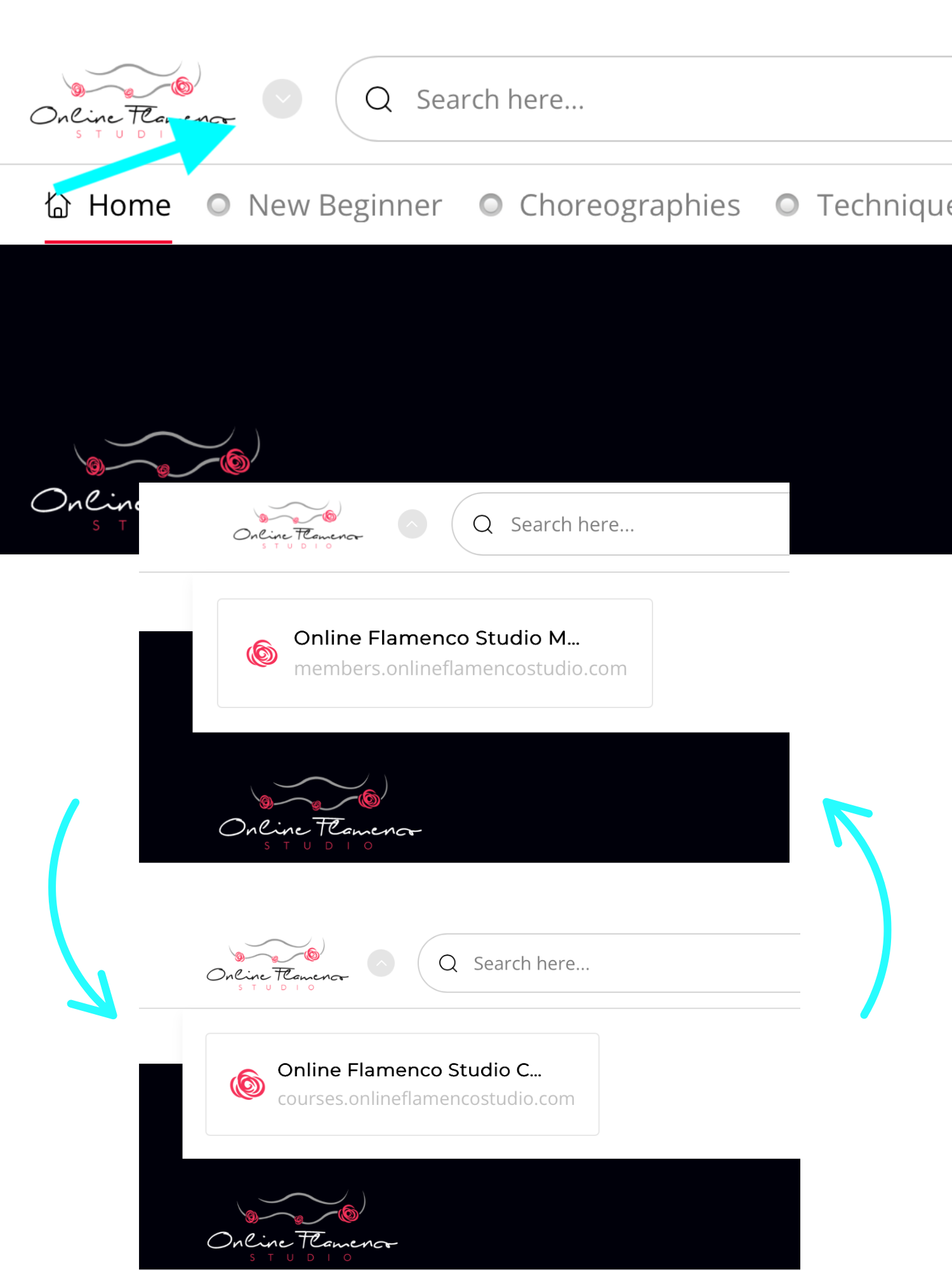 Switching Hubs Graphic
